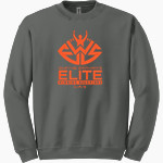 SHAYNE GRAHAM'S ELITE WINNING SOLUTIONS Gildan Adult Heavy Blend Crewneck Sweatshirt Front Thumbnail