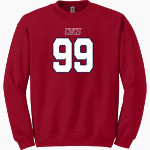 CVCS Eagles <span class="pdp-name-mascot">CVCS Eagles</span> Gildan Adult Heavy Blend Crewneck Sweatshirt Front Thumbnail