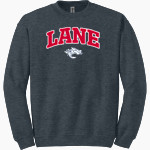 Lane Dragons Gildan Adult Heavy Blend Crewneck Sweatshirt Front Thumbnail