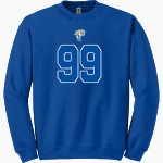 WATERFORD HIGH SCHOOL WILDCATS <span class="pdp-name-mascot">WATERFORD WILDCATS</span> Gildan Adult Heavy Blend Crewneck Sweatshirt Front Thumbnail
