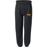Rock Valley Golden Eagles <span class="pdp-name-mascot">Rock Valley Golden Eagles</span> Gildan Youth Heavy Blend Sweatpant Front Thumbnail