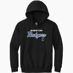 BONNERS FERRY HIGH SCHOOL BADGERS <span class="pdp-name-mascot">BONNERS FERRY BADGERS</span> Gildan Youth Heavy Blend Hoodie Front Thumbnail