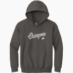 HIllsdale Chargers <span class="pdp-name-mascot">HIllsdale College Chargers</span> Gildan Youth Heavy Blend Hoodie Front Thumbnail