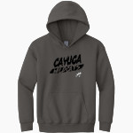 CAYUGA HIGH SCHOOL WILDCATS Gildan Youth Heavy Blend Hoodie Front Thumbnail