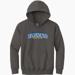 <span class="pdp-name-mascot">Bay City Blackcats</span> Gildan Youth Heavy Blend Hoodie Front Thumbnail