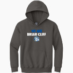 BRIAR CLIFF Chargers <span class="pdp-name-mascot">BRIAR CLIFF Chargers</span> Gildan Youth Heavy Blend Hoodie Front Thumbnail