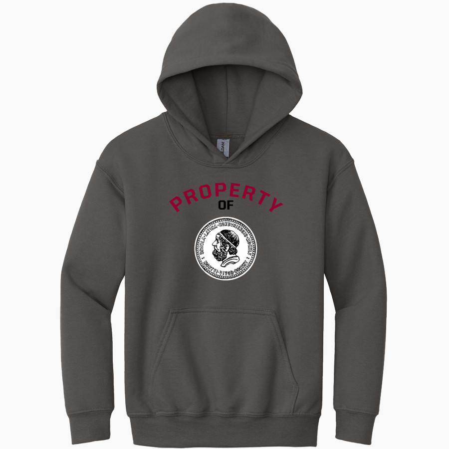 Roxbury Latin Gildan Youth Heavy Blend Hoodie