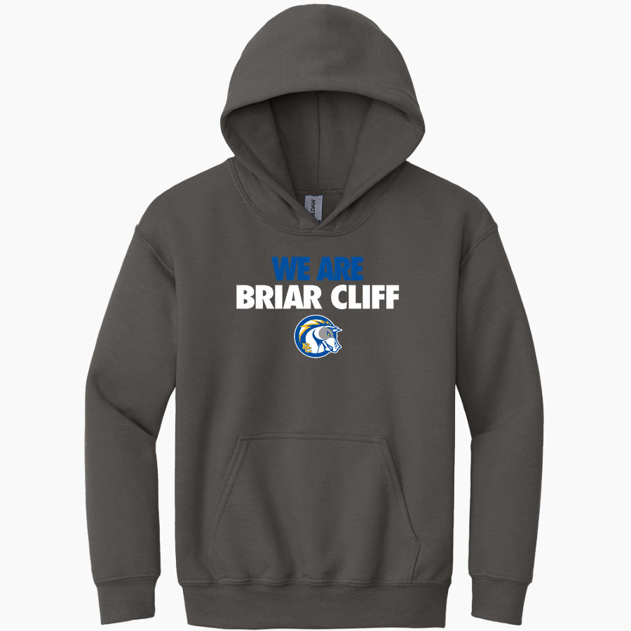 BRIAR CLIFF Chargers <span class="pdp-name-mascot">BRIAR CLIFF Chargers</span> Gildan Youth Heavy Blend Hoodie