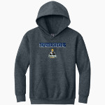 Doane Stuart Thunderchickens Thunderchickens <span class="pdp-name-mascot">Doane Stuart Thunderchickens</span> Gildan Youth Heavy Blend Hoodie Front Thumbnail