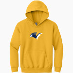 FIELD FALCONS fan gear store <span class="pdp-name-mascot">THE FIELD FALCONS</span> Gildan Youth Heavy Blend Hoodie Front Thumbnail