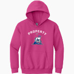 Lawrence University Vikings Online Store <span class="pdp-name-mascot">Lawrence</span> Gildan Youth Heavy Blend Hoodie Front Thumbnail