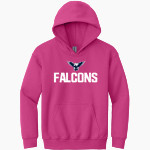 ESA Falcons <span class="pdp-name-mascot">ESA Falcons</span> Gildan Youth Heavy Blend Hoodie Front Thumbnail
