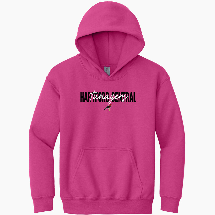 Hartford Central Tanagers Tanagers Gildan Youth Heavy Blend Hoodie