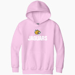 Medford Tech Jaguars Gildan Youth Heavy Blend Hoodie Front Thumbnail