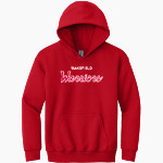 WAKEFIELD HIGH SCHOOL WARRIORS <span class="pdp-name-mascot">WAKEFIELD WARRIORS</span> Gildan Youth Heavy Blend Hoodie Front Thumbnail