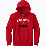 Bryn Athyn College The Official Store of the Lions <span class="pdp-name-mascot">Bryn Athyn College Lions</span> Gildan Youth Heavy Blend Hoodie Front Thumbnail