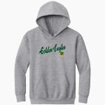 Madison-Plains Golden Eagles <span class="pdp-name-mascot">MADISON-PLAINS EAGLES</span> Gildan Youth Heavy Blend Hoodie Front Thumbnail