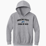 Woodridge Forest Falcons Online Store <span class="pdp-name-mascot">Woodridge Forest Falcons</span> Gildan Youth Heavy Blend Hoodie Front Thumbnail