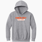 NAAMAN FOREST HIGH SCHOOL RANGERS <span class="pdp-name-mascot">NAAMAN FOREST RANGERS</span> Gildan Youth Heavy Blend Hoodie Front Thumbnail