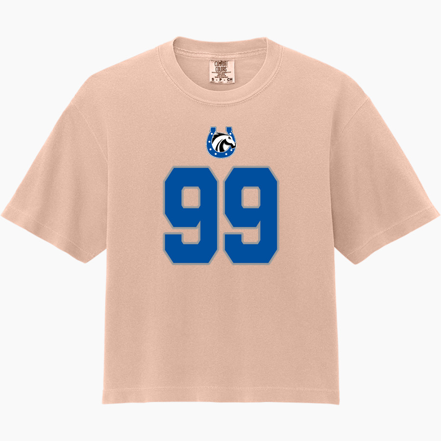 Andrada Mavericks Online Store <span class="pdp-name-mascot">Andrada Mavericks</span> Comfort Colors Women's Heavyweight Boxy Tee