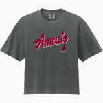 Anna Maria College Amcats <span class="pdp-name-mascot">Anna Maria College Amcats</span> Comfort Colors Women's Heavyweight Boxy Tee Front Thumbnail