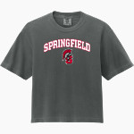 SPRINGFIELD SPARTANS The Online Store <span class="pdp-name-mascot">SPRINGFIELD SPARTANS</span> Comfort Colors Women's Heavyweight Boxy Tee Front Thumbnail