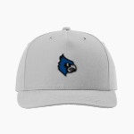 Iron County C4 Blue Jays <span class="pdp-name-mascot">Iron County C4 Blue Jays</span> Richardson Burnside Cap Front Thumbnail