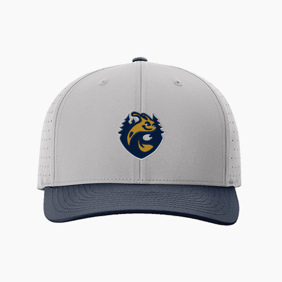 UC Santa Cruz Banana Slugs <span class="pdp-name-mascot">UC Santa Cruz Banana Slugs</span> Richardson Laser Perf R-Flex Snapback