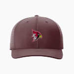 Eleva-Strum Cardinals <span class="pdp-name-mascot">Eleva-Strum Cardinals</span> Richardson Laser Perf R-Flex Snapback Front Thumbnail