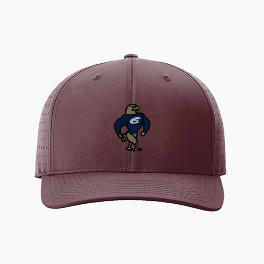 Clarion Golden Eagles <span class="pdp-name-mascot">Clarion - Penn West University Golden Eagles</span> Richardson Laser Perf R-Flex Snapback