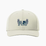 AUBURN RIVERSIDE HIGH SCHOOL RAVENS <span class="pdp-name-mascot">AUBURN RIVERSIDE RAVENS</span> Richardson Laser Perf R-Flex Snapback Front Thumbnail