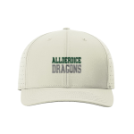 ALLDERDICE HIGH SCHOOL DRAGONS <span class="pdp-name-mascot">ALLDERDICE DRAGONS</span> Richardson Laser Perf R-Flex Snapback Front Thumbnail