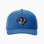 Central Panthers <span class="pdp-name-mascot">Central Panthers</span> Richardson Laser Perf R-Flex Snapback Front Thumbnail