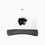 Gilmanton Panthers <span class="pdp-name-mascot">Gilmanton Panthers</span> Richardson Laser Perf R-Flex Snapback Front Thumbnail