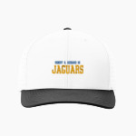 Goddard Of Communications Arts & Technical Jaguars <span class="pdp-name-mascot">Goddard Of Communications Arts & Technical Jaguars</span> Richardson Laser Perf R-Flex Snapback Front Thumbnail