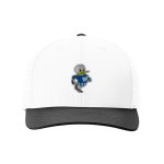 WATERTOWN HIGH SCHOOL GOSLINGS <span class="pdp-name-mascot">WATERTOWN GOSLINGS</span> Richardson Laser Perf R-Flex Snapback Front Thumbnail