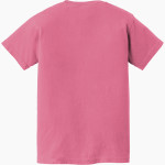 Cedar Crest Falcons Falcons <span class="pdp-name-mascot">Cedar Crest Falcons</span> Comfort Colors Youth Ring-Spun Tee Back Thumbnail