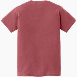 EASTBROOK HIGH SCHOOL PANTHERS <span class="pdp-name-mascot">EASTBROOK PANTHERS</span> Comfort Colors Youth Ring-Spun Tee Back Thumbnail