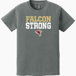 WM E GRADY VOC TECH SCHOOL FALCONS <span class="pdp-name-mascot">GRADY HIGH SCHOOL FALCONS</span> Comfort Colors Youth Ring-Spun Tee Front Thumbnail