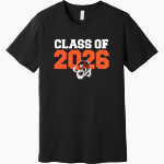 LAKE CITY HIGH SCHOOL TIGERS <span class="pdp-name-mascot">LAKE CITY TIGERS</span> BELLA+CANVAS Unisex Jersey Short Sleeve Tee Front Thumbnail