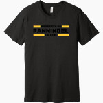 Fannindel Falcons <span class="pdp-name-mascot">Fannindel Falcons</span> BELLA+CANVAS Unisex Heather CVC Short Sleeve Tee Front Thumbnail
