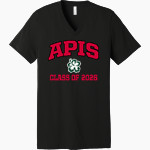 APIS Hawks <span class="pdp-name-mascot">Asia Pacific International GreenHawks</span> Bella+Canvas Unisex Jersey Short Sleeve V-Neck Tee Front Thumbnail