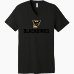 PETTISVILLE BLACKBIRDS ONLINE STORE <span class="pdp-name-mascot">PETTISVILLE BLACKBIRDS</span> Bella+Canvas Unisex Jersey Short Sleeve V-Neck Tee Front Thumbnail