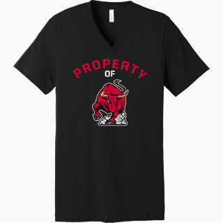 Bella+Canvas Unisex Jersey Short Sleeve V-Neck Tee