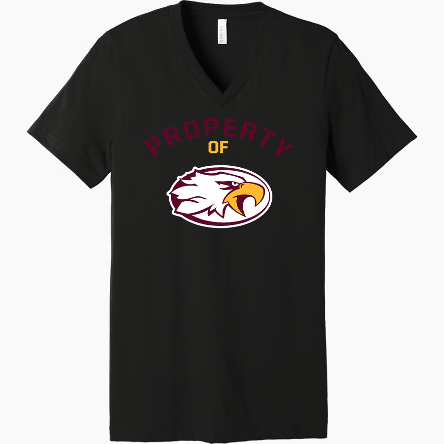 LIBERTY CHRISTIAN ACADEMY EAGLES <span class="pdp-name-mascot">LIBERTY EAGLES</span> Bella+Canvas Unisex Jersey Short Sleeve V-Neck Tee