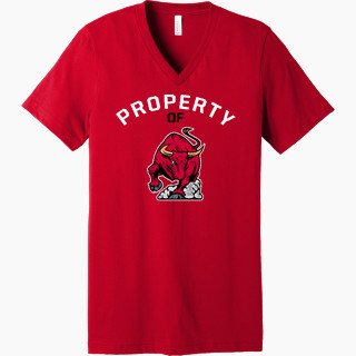 Bella+Canvas Unisex Jersey Short Sleeve V-Neck Tee