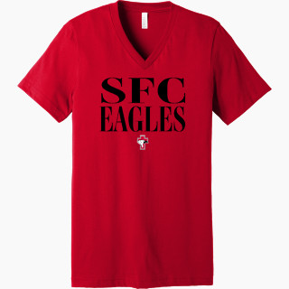 Bella+Canvas Unisex Jersey Short Sleeve V-Neck Tee