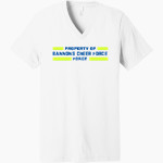 Bannons Cheer Force Force <span class="pdp-name-mascot">Bannons Cheer Force Force</span> Bella+Canvas Unisex Jersey Short Sleeve V-Neck Tee Front Thumbnail