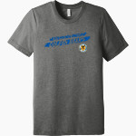 Western New England Golden Bears <span class="pdp-name-mascot">Western New England University Golden Bears</span> BELLA+CANVAS Unisex Triblend Short Sleeve Tee Front Thumbnail