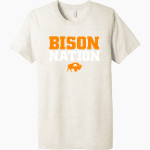 Flatirons Bison <span class="pdp-name-mascot">Flatirons Bison</span> BELLA+CANVAS Unisex Triblend Short Sleeve Tee Front Thumbnail